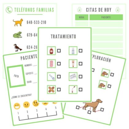 rincon juego simbolico veterinario