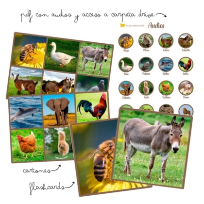 Bingo sonoro animales